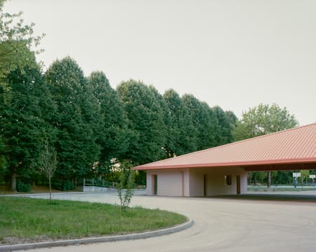 Under the Pink Roof